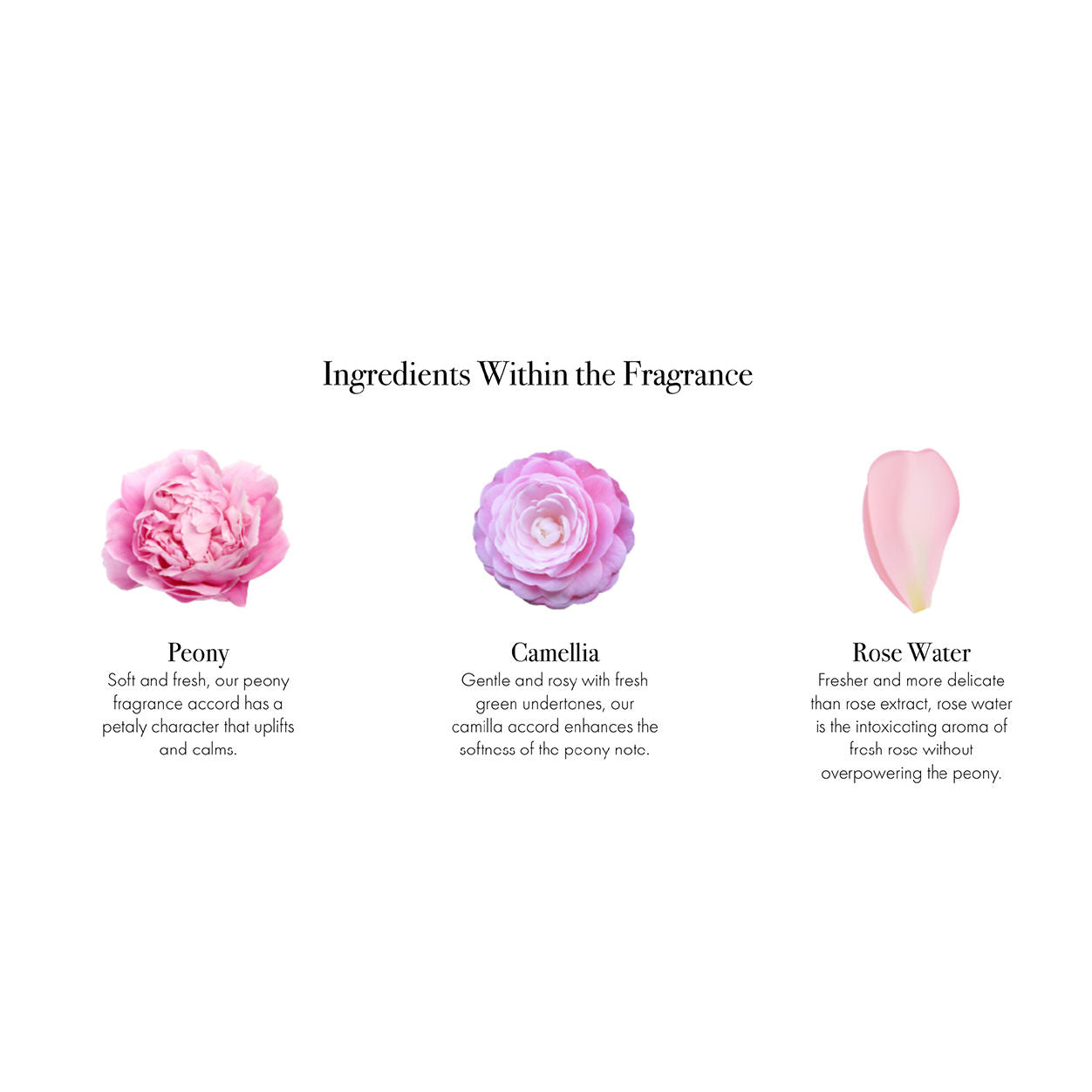 Information related to Lafco Duchess Peony Signature Candle