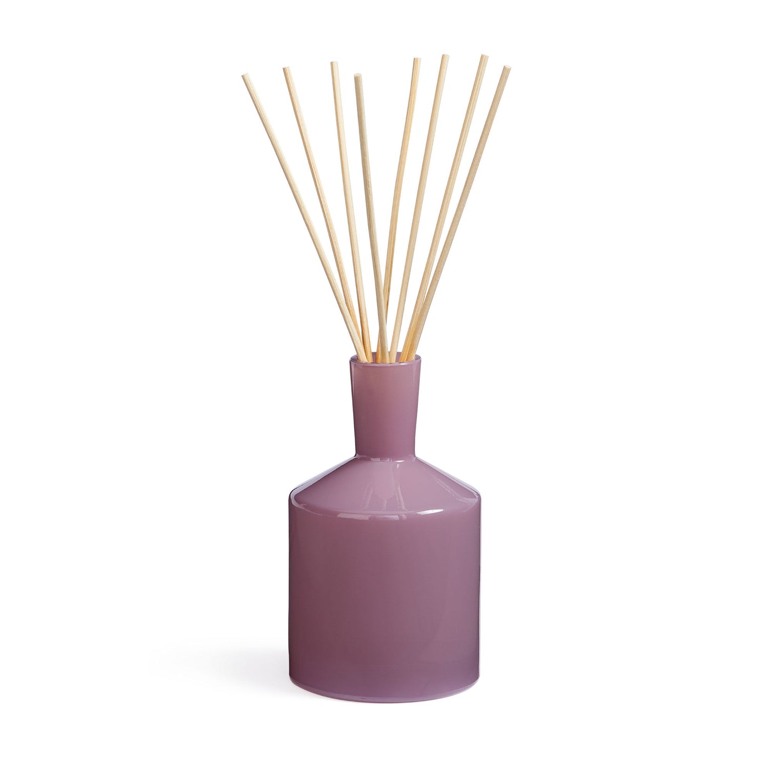 Image of an open  Midnight Cactus Classic Reed Diffuser