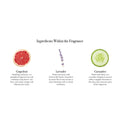 Information related to Lafco Bluemercury Spa Classic Reed Diffuser