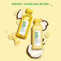 Information related to Briogeo Banana and Coconut Nourishing Superfood Shampoo