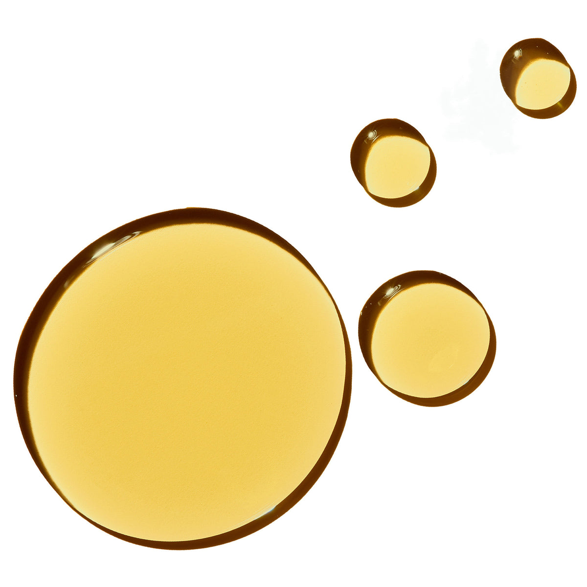Group swatch image of OSEA Undaria Algae Body Oil