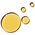 Group swatch image of OSEA Undaria Algae Body Oil
