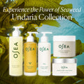 Image of product in the same collection as OSEA Undaria Algae Body Oil