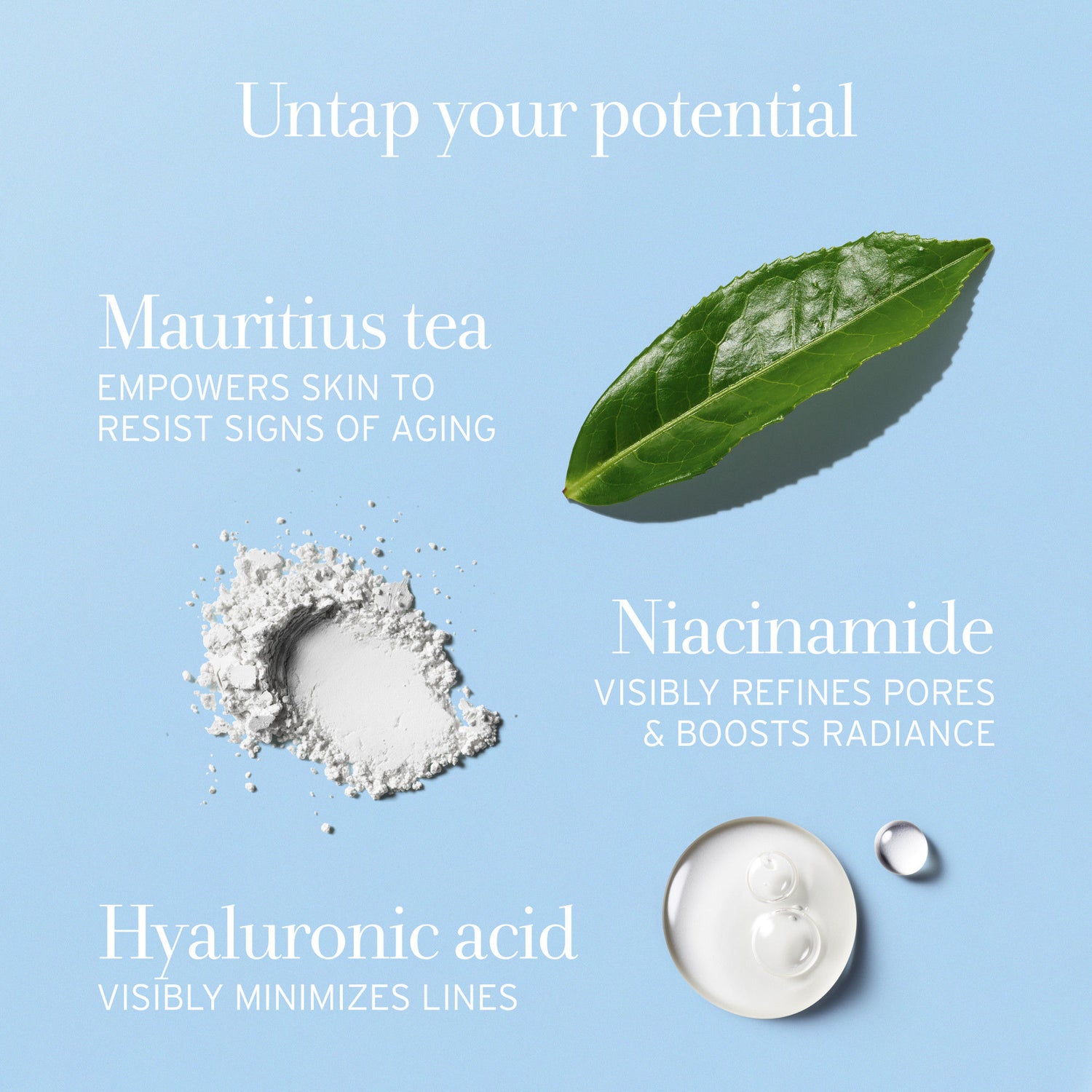 Information related to Fresh Tea Elixir Niacinamide and Hyaluronic Acid Anti-Aging Serum