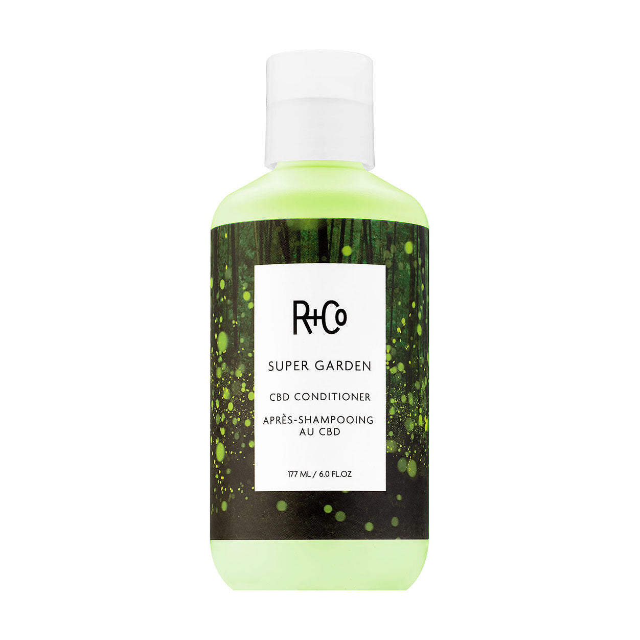 R+Co Cactus Texturizing Shampoo Liter newest + pump R&Co