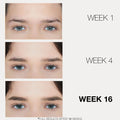 Before and after results of using LashFood Phyto-Medic Eyebrow Enhancing Serum