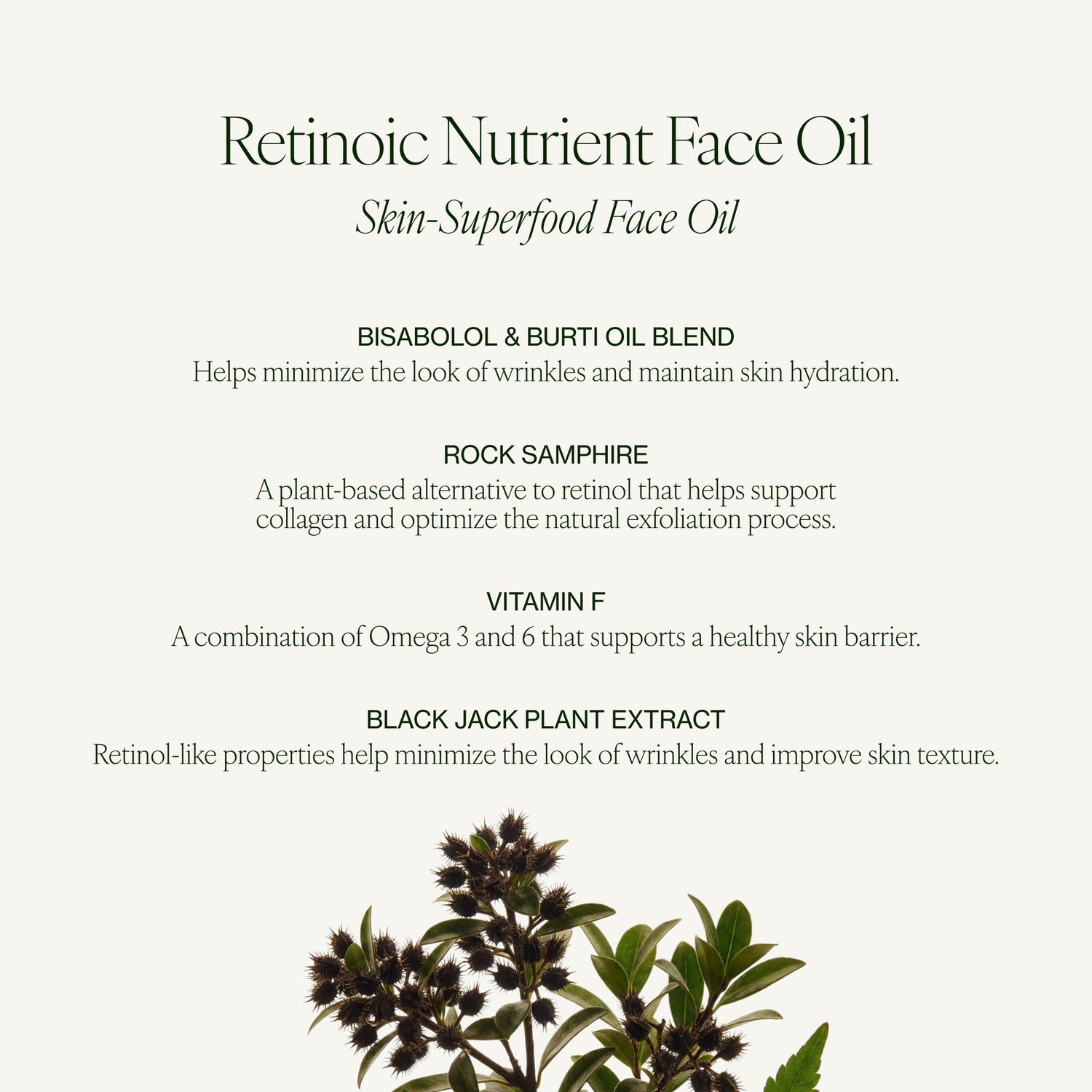 Image of product in the same collection as Tata Harper Retinoic Nutrient Face Oil