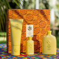 Information related to Oribe Hair Alchemy Collection (Limited Edition)