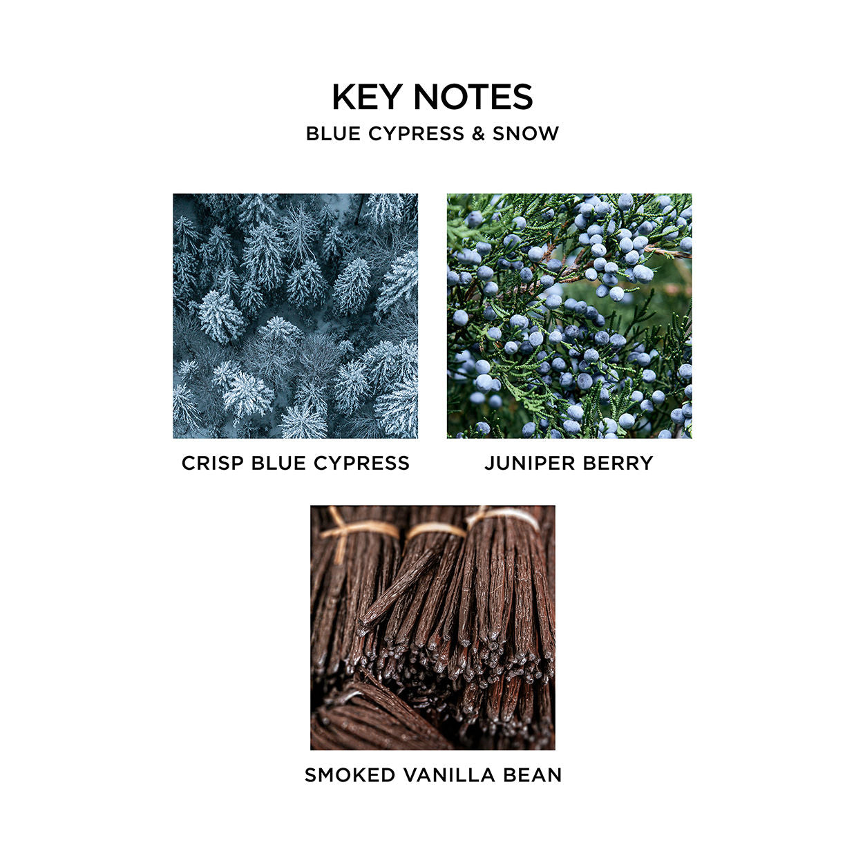 Information related to Nest Blue Cypress and Snow Reed Diffuser (Limited Edition)