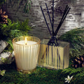 Lifestyle image of Nest Birchwood Pine Reed Diffuser (Limited Edition)