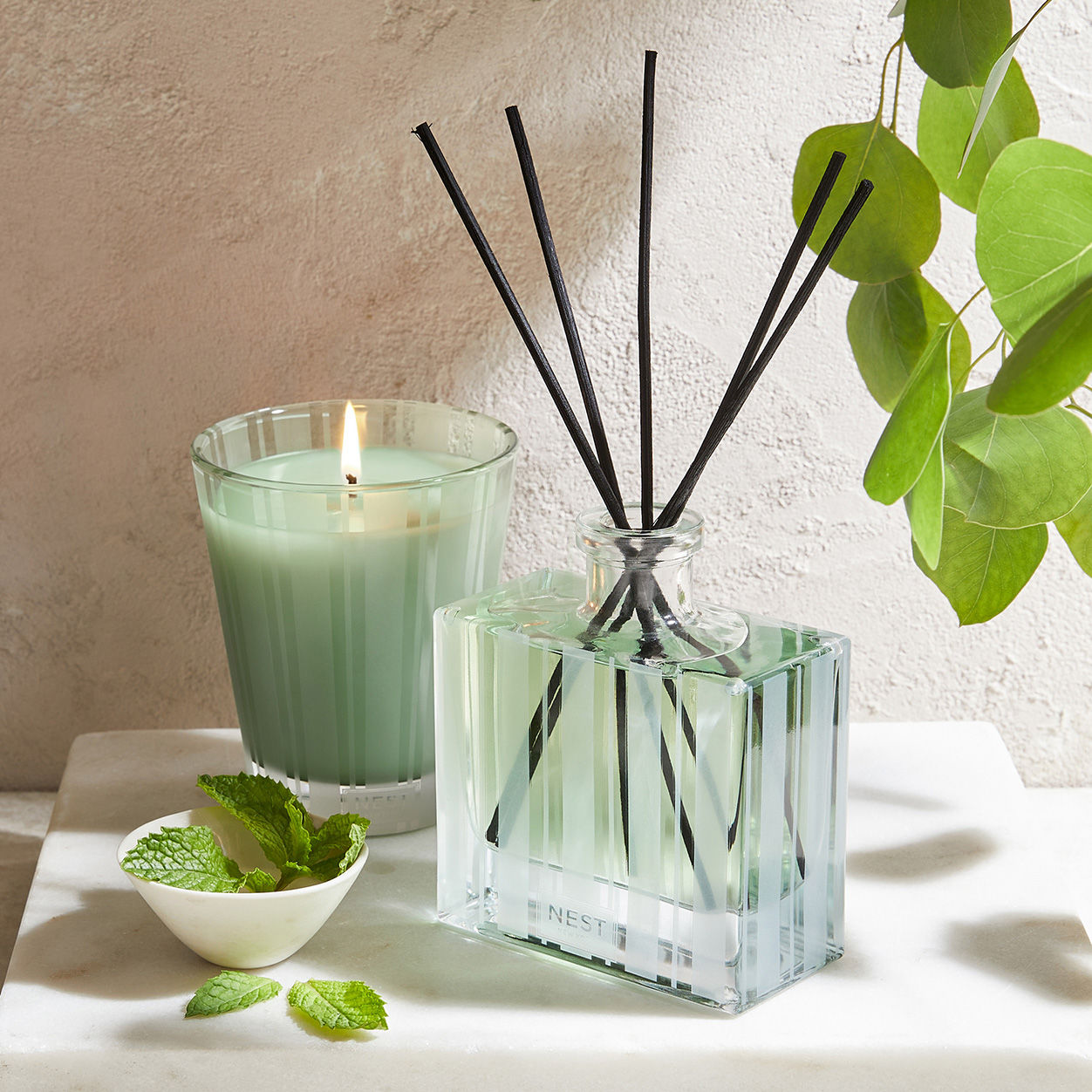 Lifestyle image of Nest Wild Mint and Eucalyptus Reed Diffuser