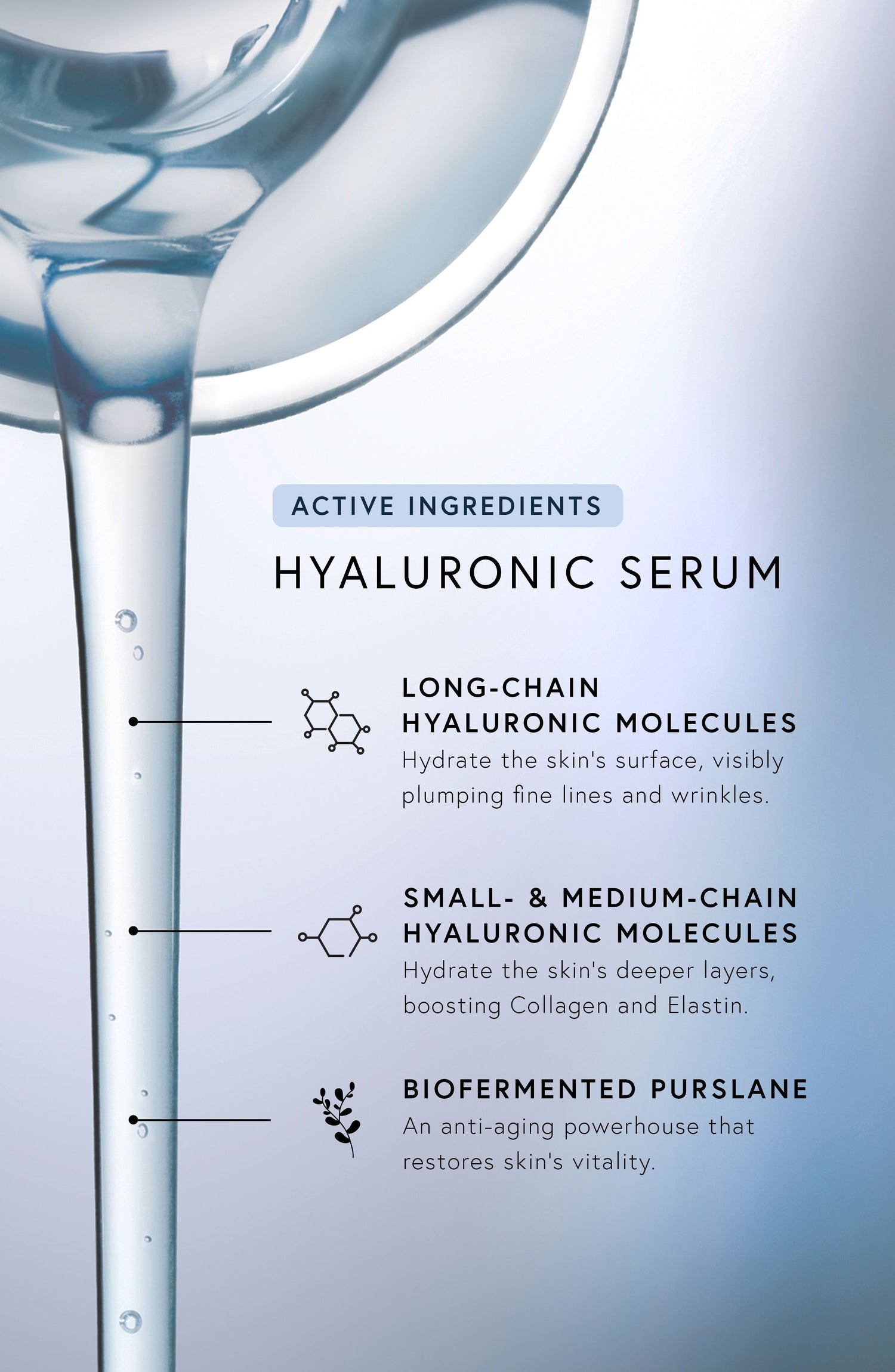 Information related to Dr. Barbara Sturm Hyaluronic Duo Set