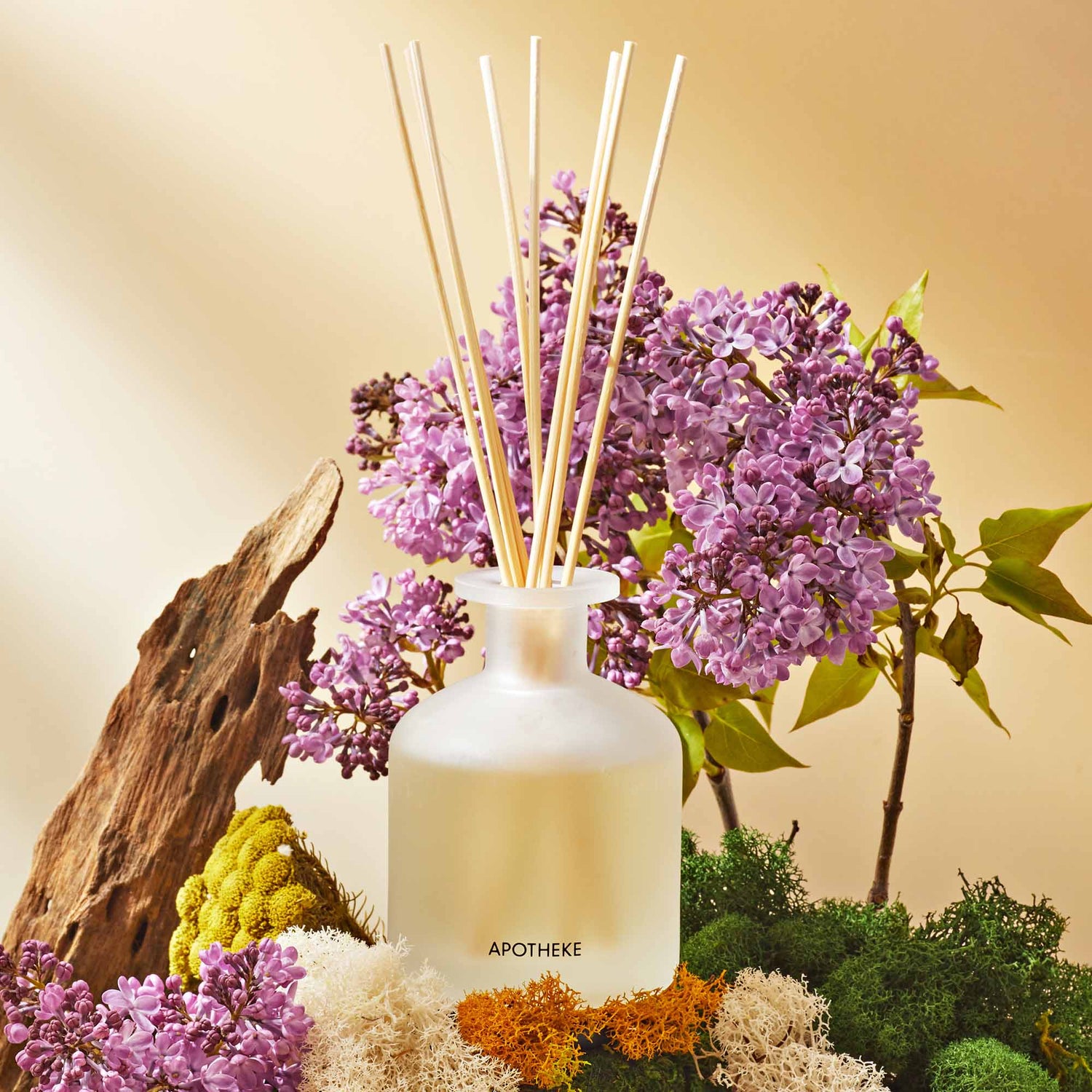 Lifestyle image of Apotheke White Vetiver Reed Diffuser