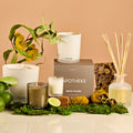 Image of product in the same collection as Apotheke White Vetiver Reed Diffuser