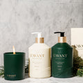 L’Avant Collective Winter Fir Dish Soap (Limited Edition) lifestyle image 3 .