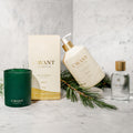 L’Avant Collective Winter Fir Dish Soap (Limited Edition) lifestyle image 4 .