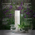 Information related to Irene Forte Lavender Face Cream