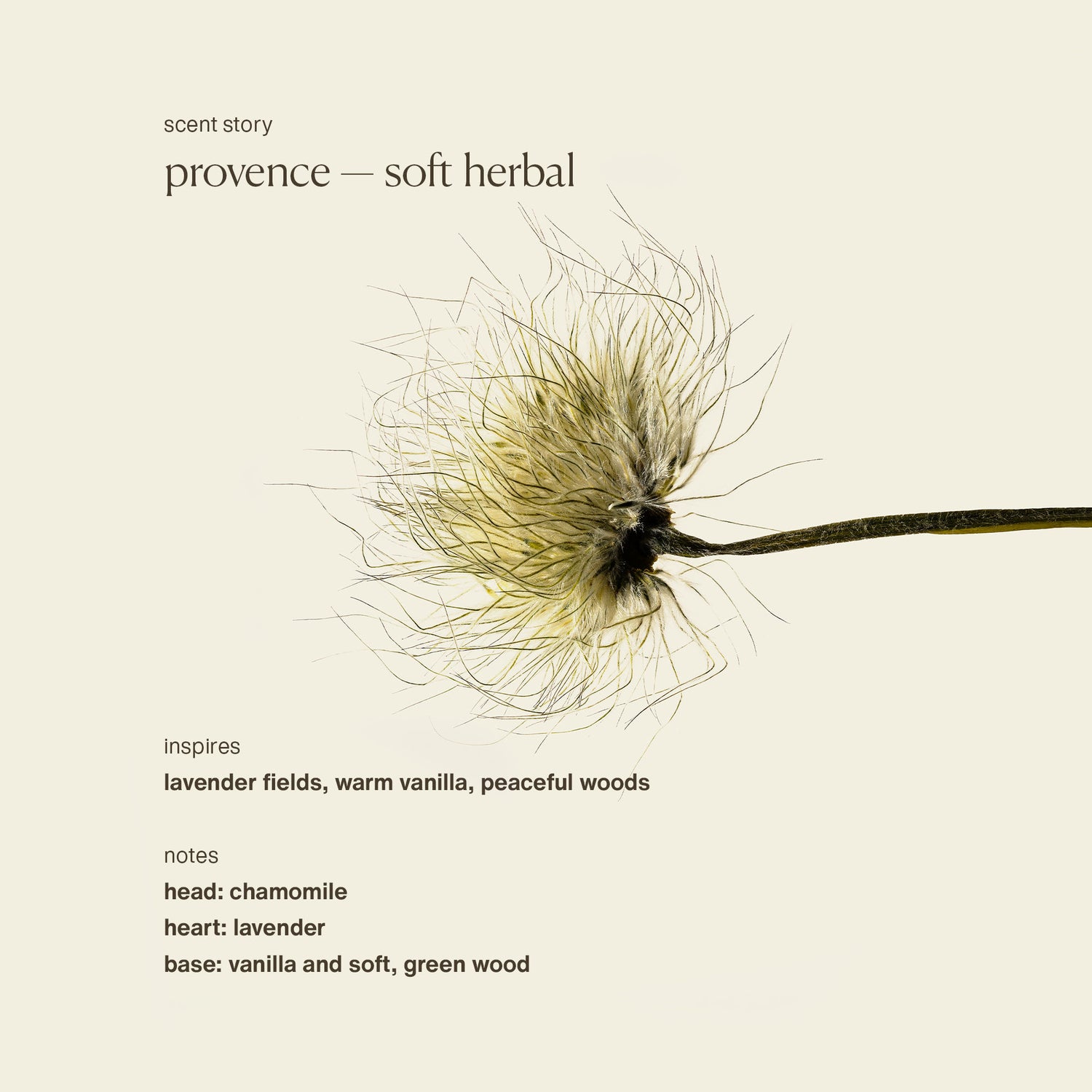 Image of an open Evolvetogether Provence Nutrient Rich Body Cleanser