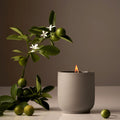 Image of product in the same collection as Homecourt Neroli Leaf Candle