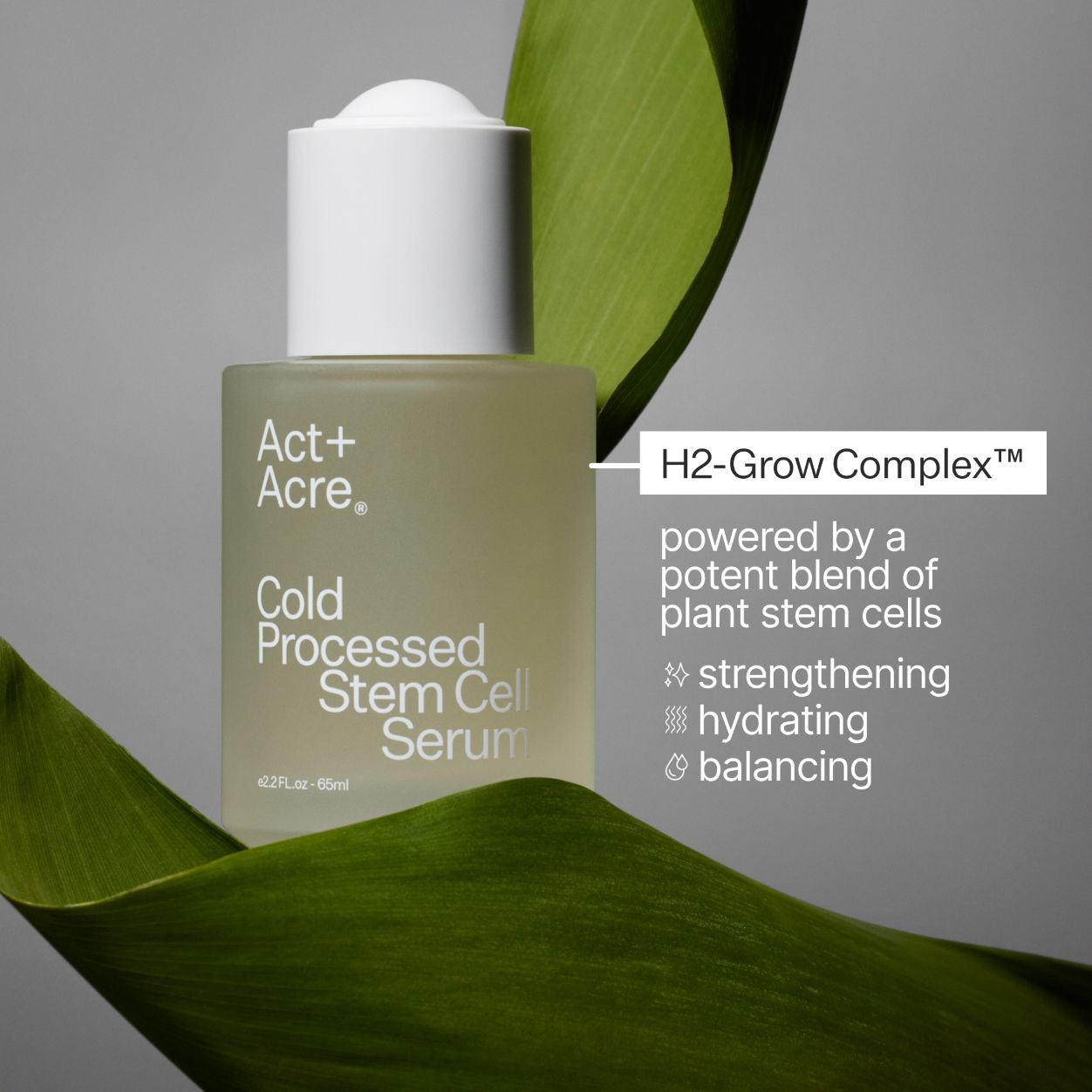 Information related to Act+Acre Cold Processed Stem Cell Serum