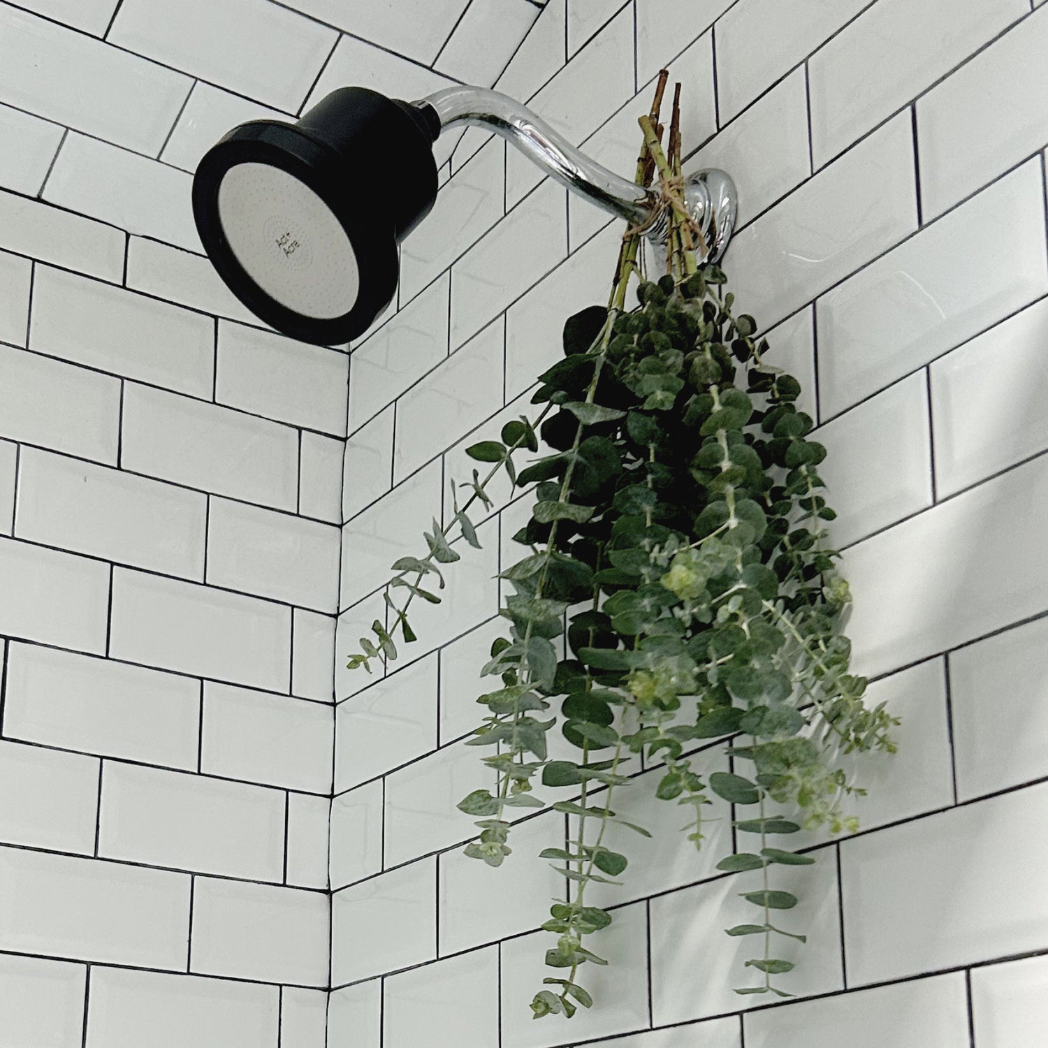 Model image of Act+Acre Showerhead Replacement Filter For Healthy Scalp + Hair