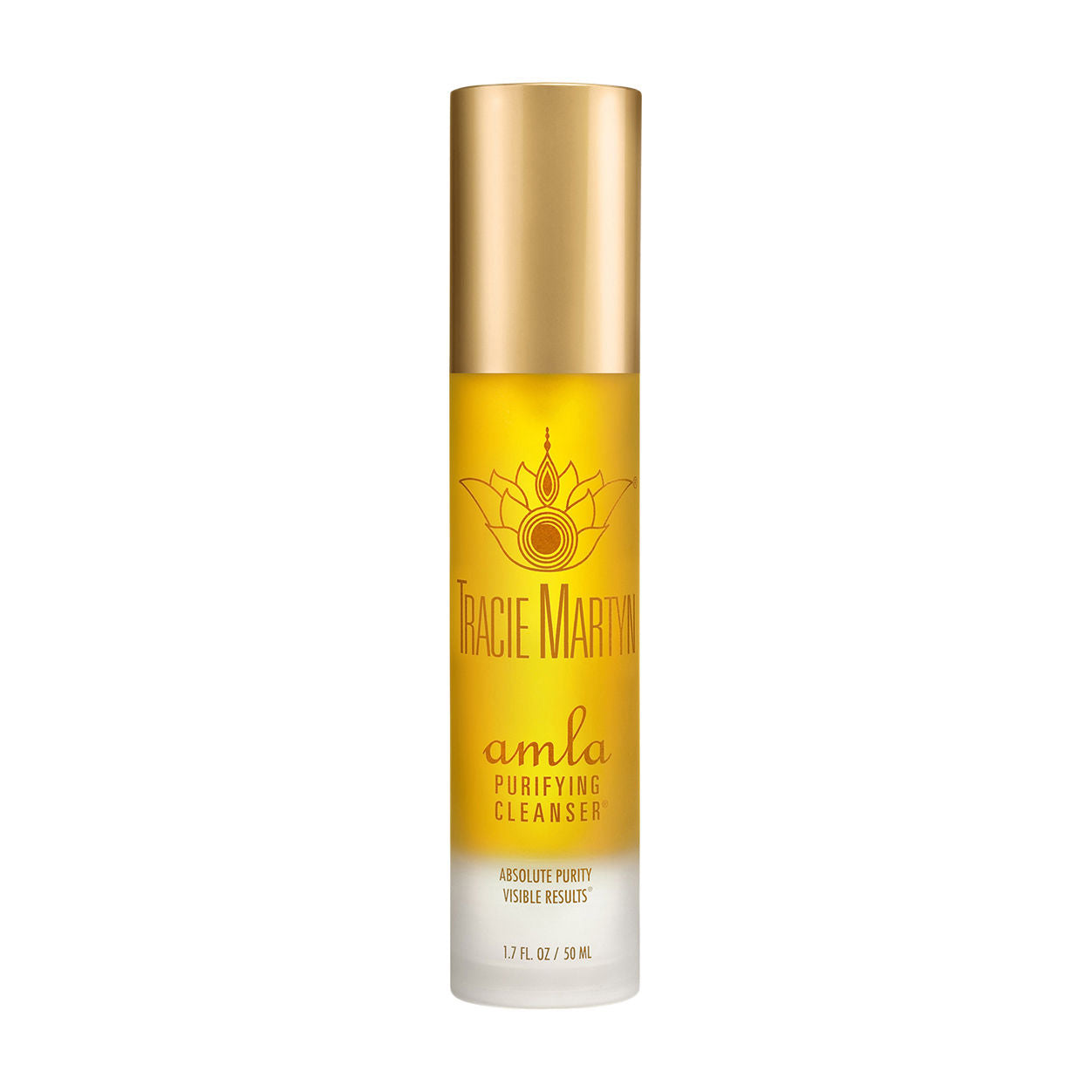 Tracie Martyn Amla Purifying Cleanser main image