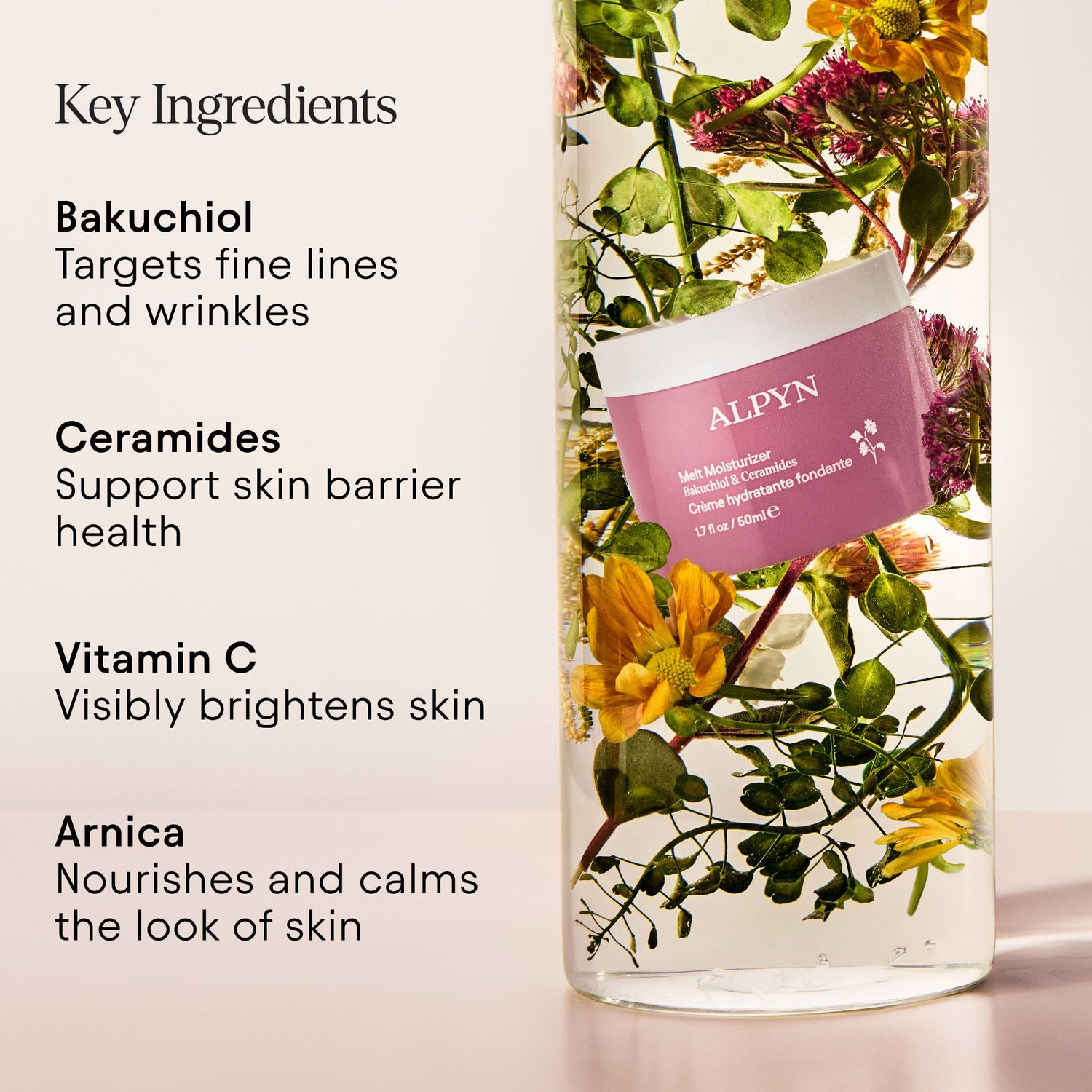 Information related to Alpyn Beauty Melt Moisturizer for Firming, Plumping and Brightening