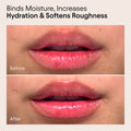 Before and after results of using Alpyn Beauty Plumping and Softening Sweet Agave Lip Balm Treatment