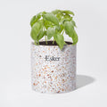 Lifestyle image of Esker Terrazzo Plantable Candle