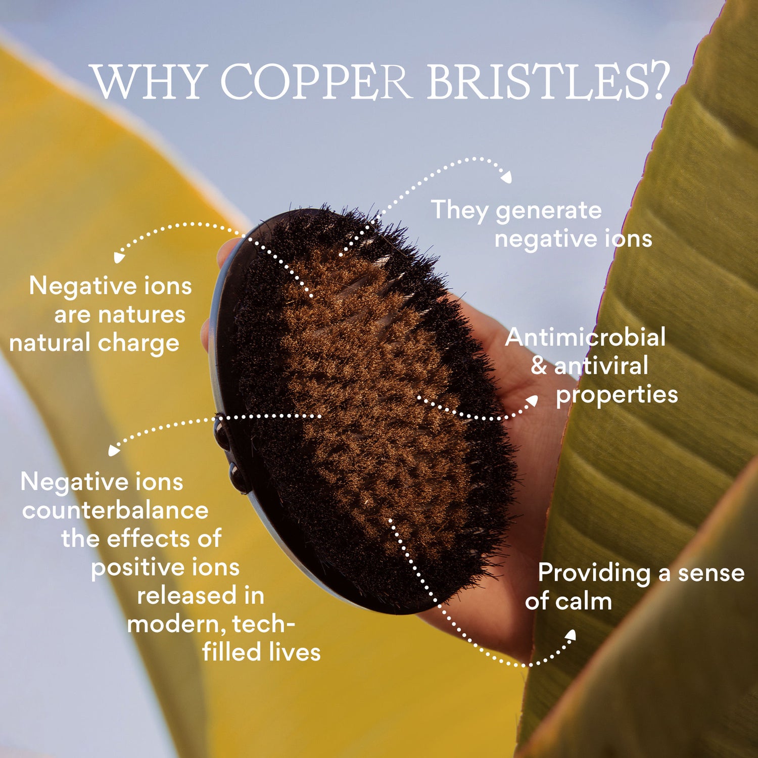 Information related to HigherDose Supercharge Copper Body Brush