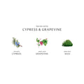 Information related to Jo Malone London Cypress & Grapevine Cologne Intense