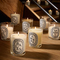 Image of product in the same collection as Diptyque Figuier (Fig Tree) Candle