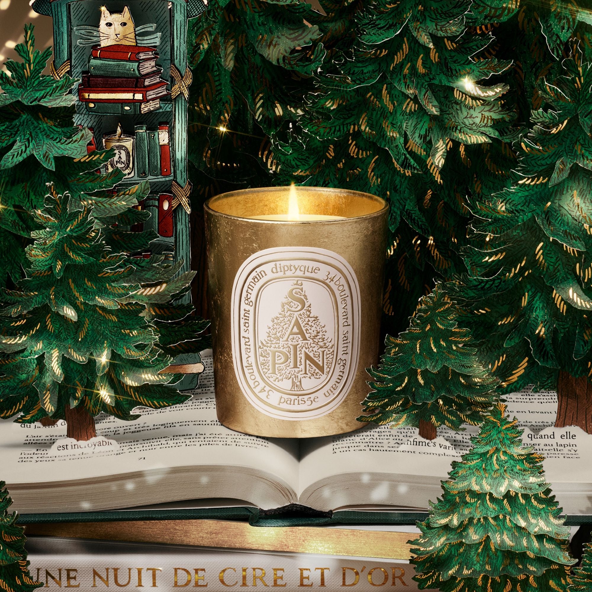 Diptyque Sapin (Pine Tree) Candle (Limited Edition) – Diptyque