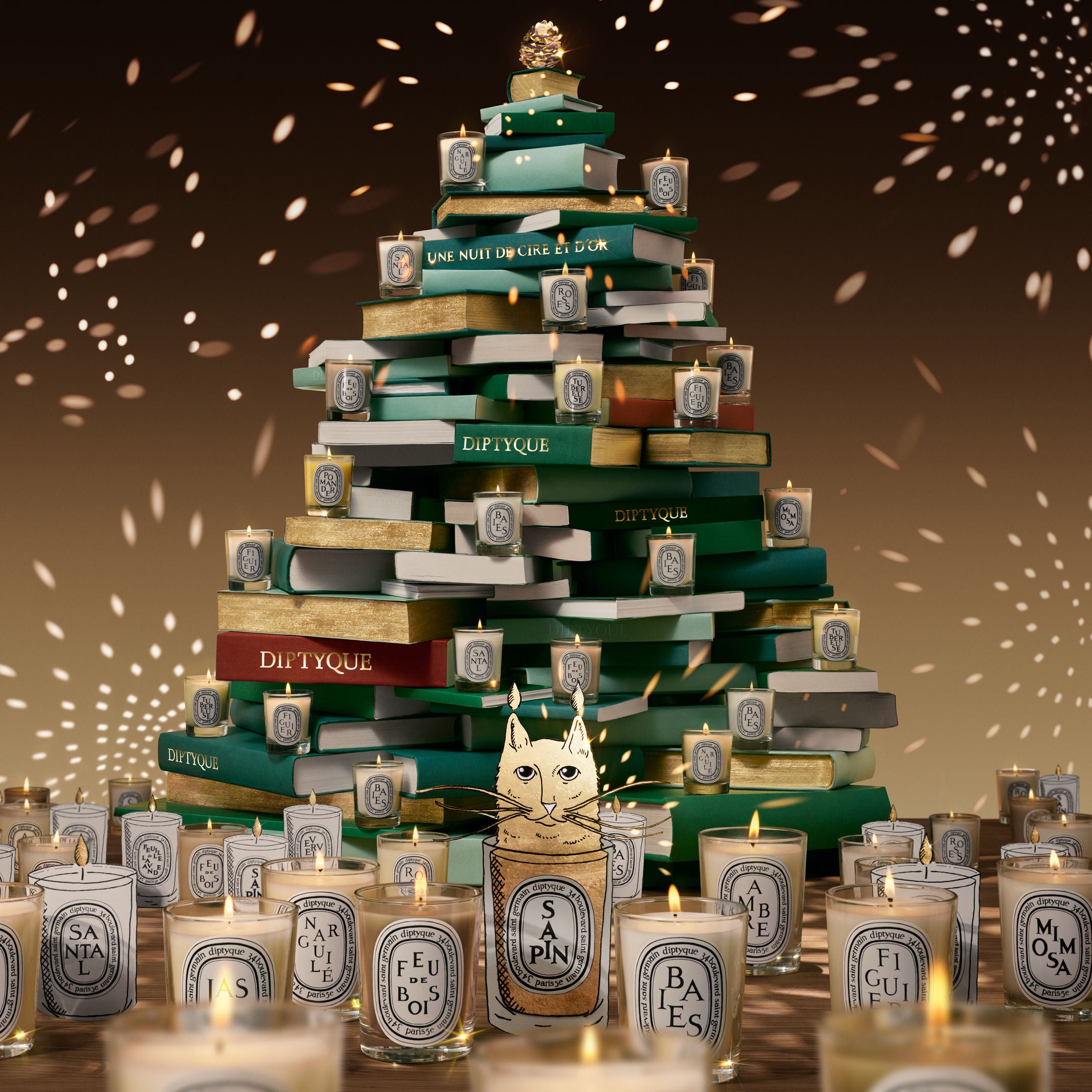 Diptyque Sapin (Pine Tree) Candle (Limited Edition) – Diptyque