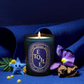 Lifestyle image of Diptyque Étoile Candle (Limited Edition)