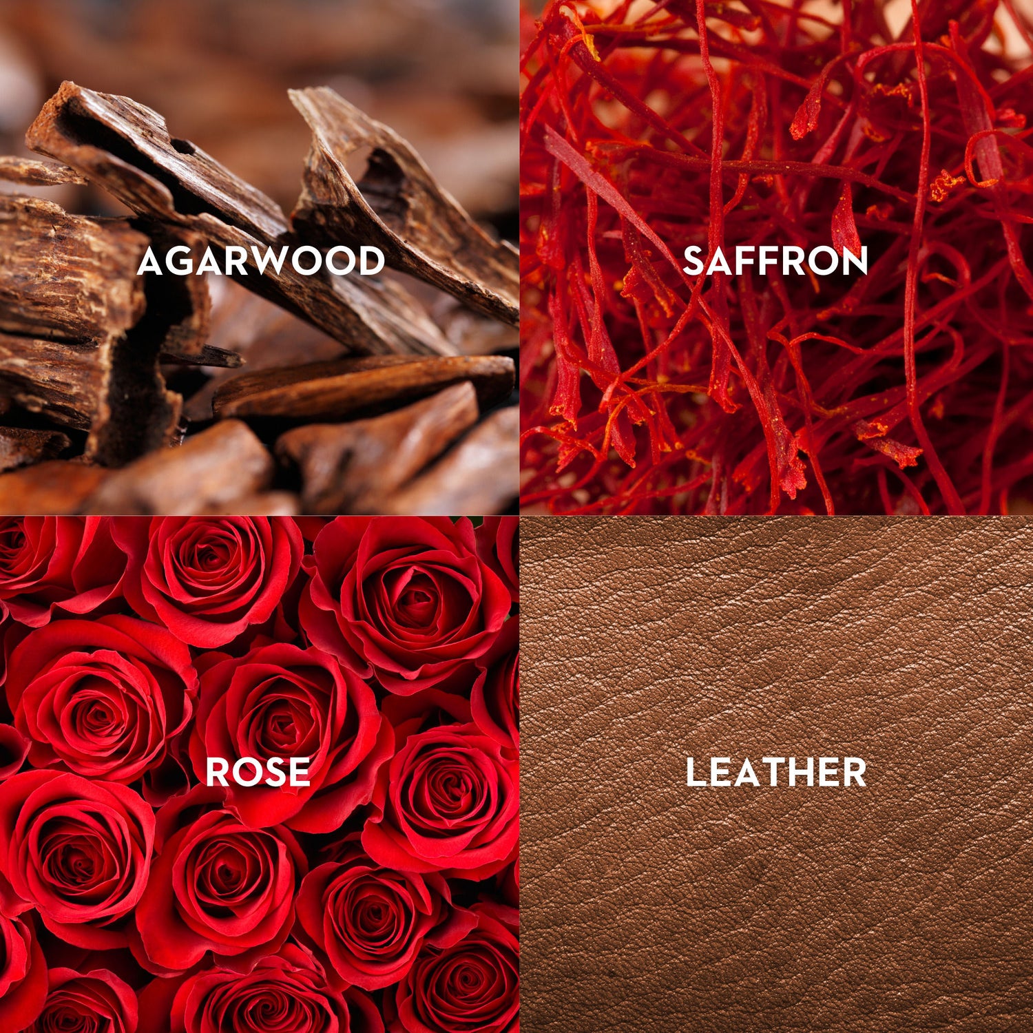 Lifestyle image of Vilhelm Parfumerie Smoke Show Eau de Parfum