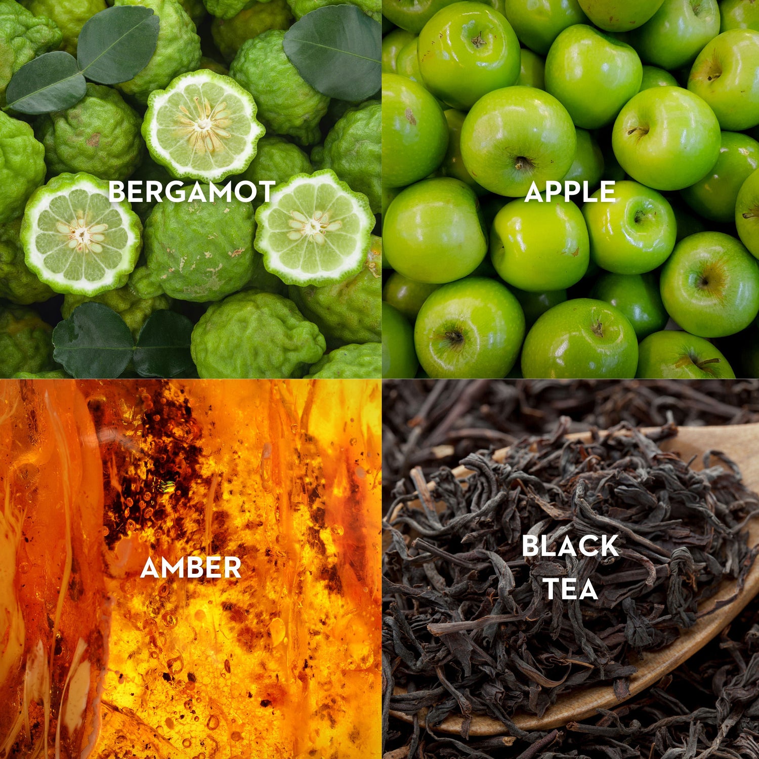 Lifestyle image of Vilhelm Parfumerie Dear Polly Eau de Parfum