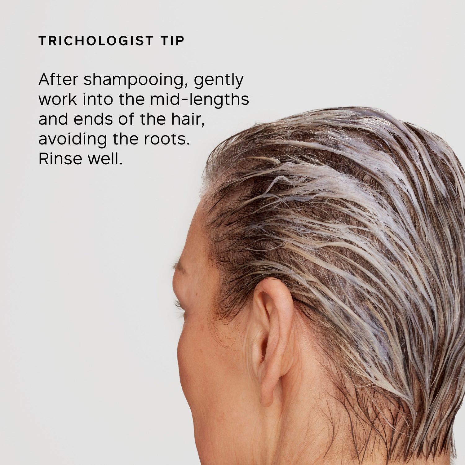 Information related to Philip Kingsley Pure Blonde/Silver Brightening Daily Conditioner