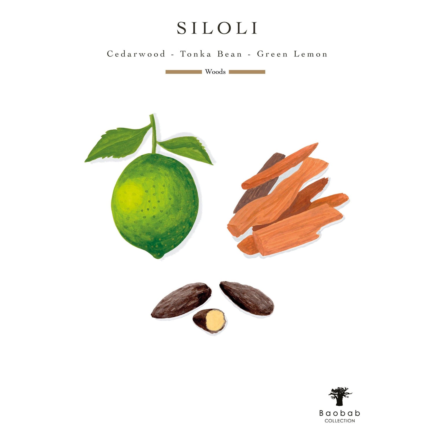 Information related to Baobab Collection Sand Siloli Candle