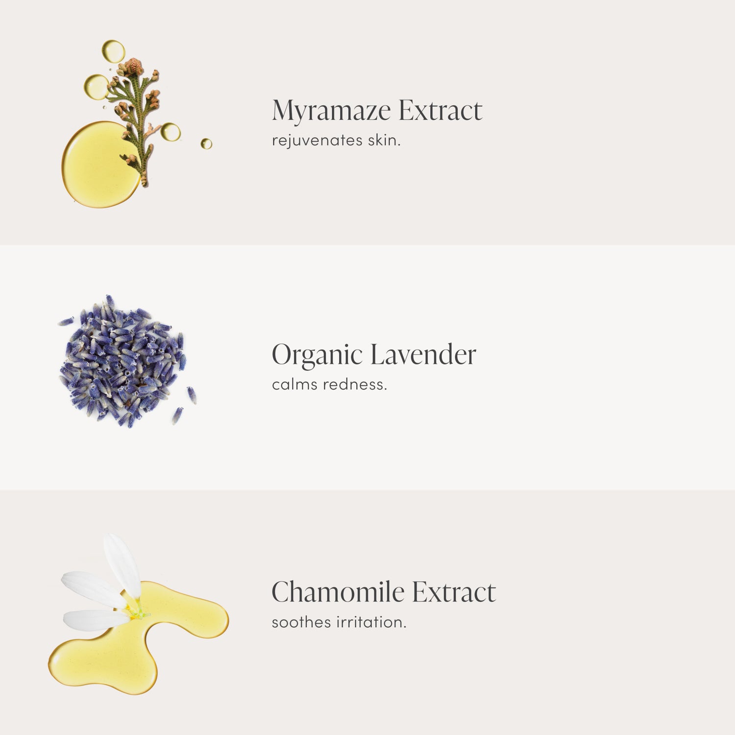 Jane Iredale Calming Lavender Hydration Spray infographics image .