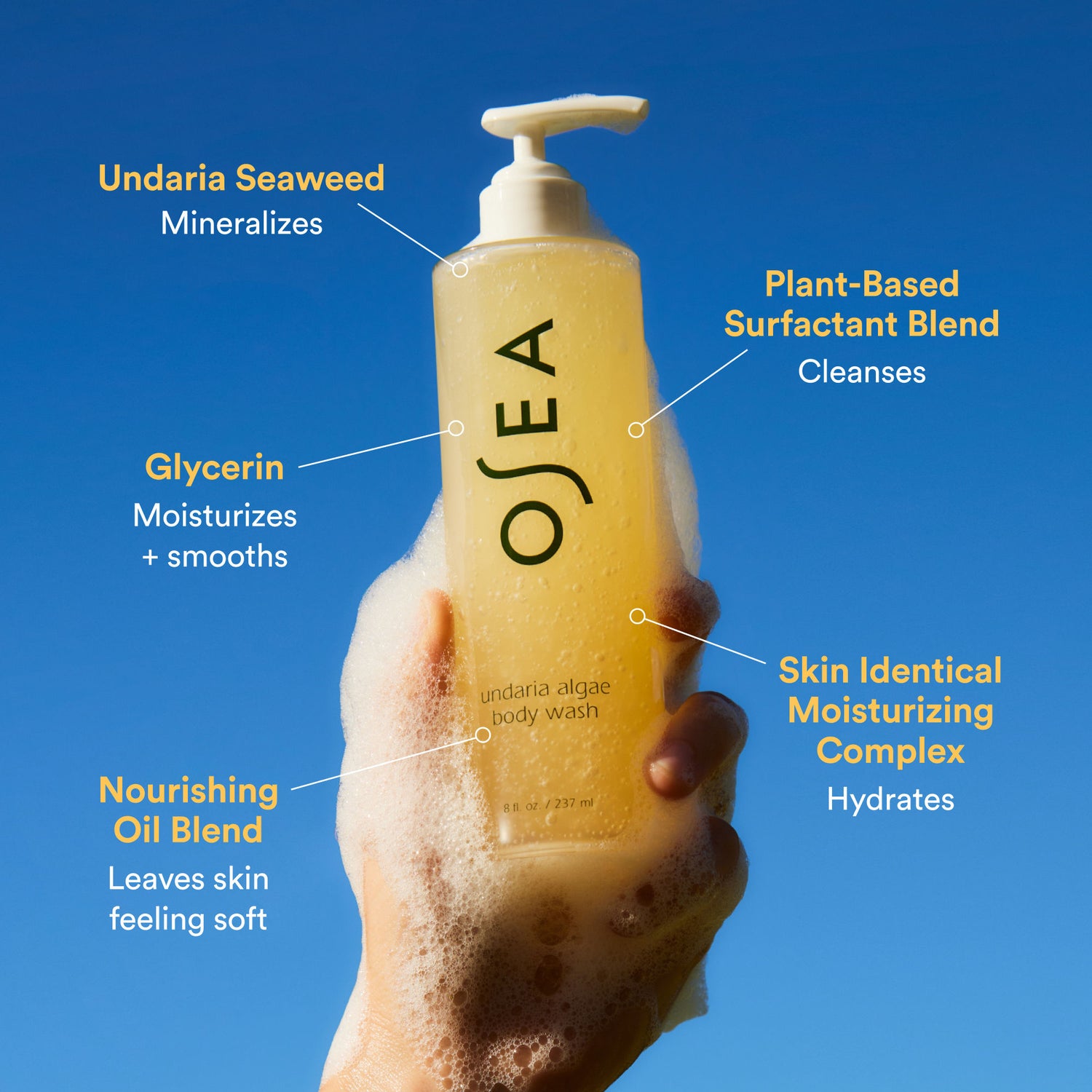 Information related to OSEA Undaria Algae Body Wash