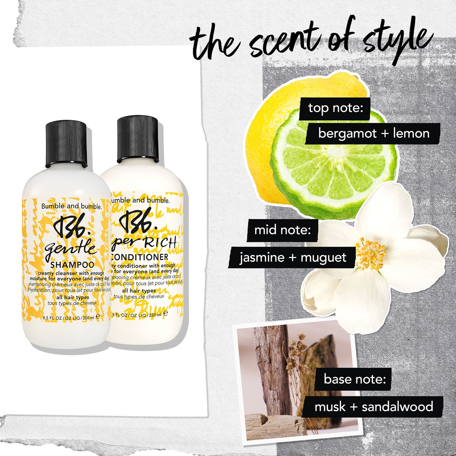 Information related to Bumble and Bumble Gentle Shampoo
