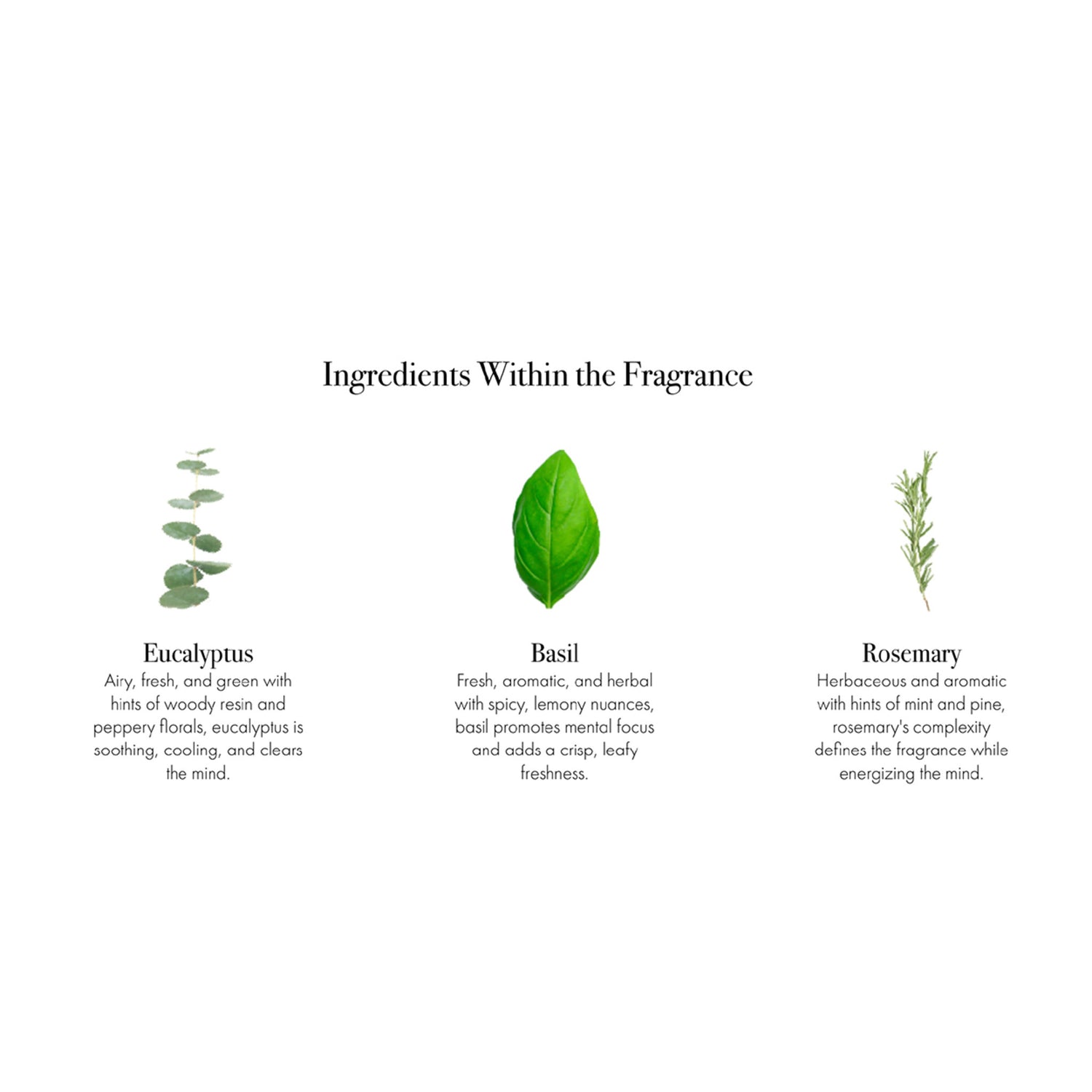 Lafco Rosemary Eucalyptus Candle infographics image .