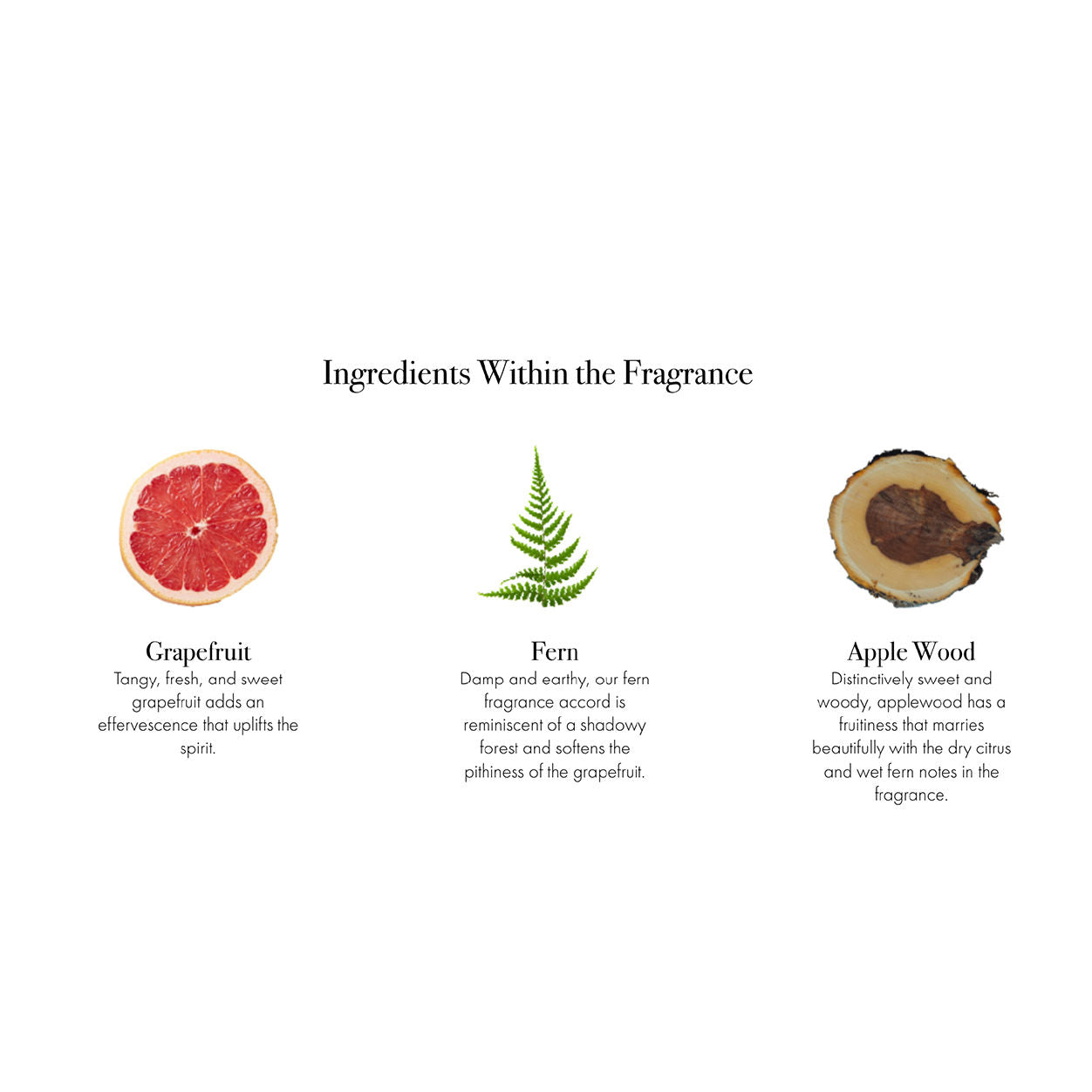 Information related to Lafco White Grapefruit Candle