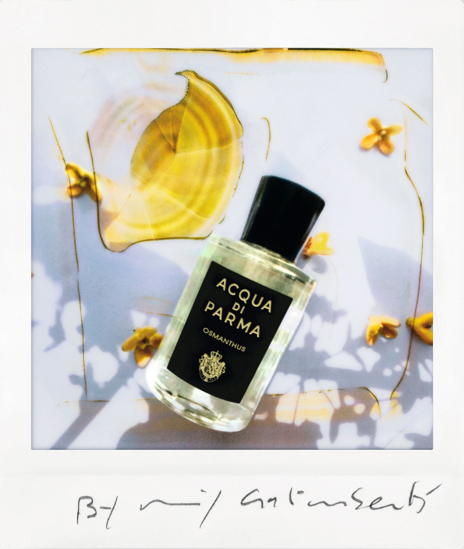 Lifestyle image of Acqua di Parma Osmanthus Eau de Parfum variant: 6 oz