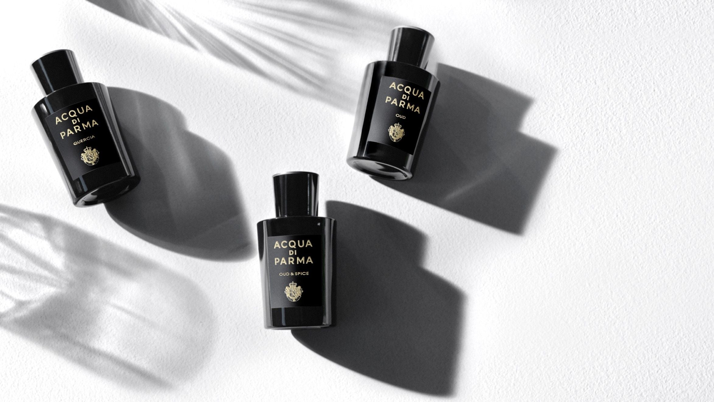 Acqua di Parma Oud Eau de Parfum – Acqua di Parma – bluemercury