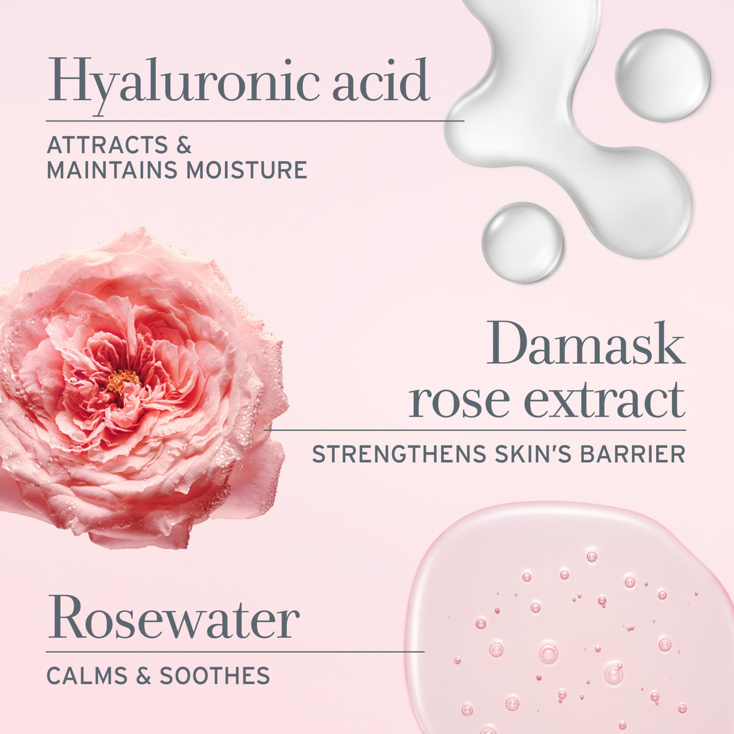 Fresh Rose Deep Hydration Sleeping Mask infographics image 3 .