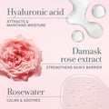 Information related to Fresh Rose Deep Hydration Sleeping Mask