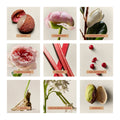 Image of product in the same collection as U Beauty PROEM Eau De Parfum