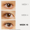 Before and after results of using LashFood Phyto-Medic Eyelash Enhancing Serum